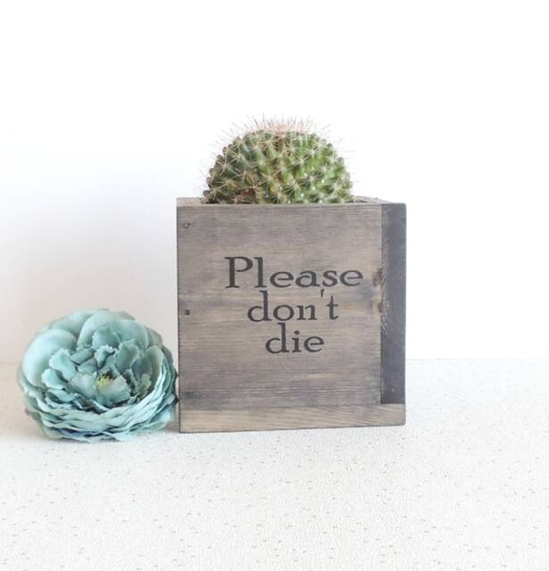 "Wooden Succulent Planter " - image 1