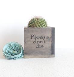 "Wooden Succulent Planter " - thumbnail 1