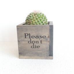 "Wooden Succulent Planter " - thumbnail 2