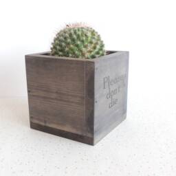 "Wooden Succulent Planter " - thumbnail 3