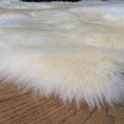 xxl Luxury Ivory Sheepskin Rug , Cream, Soft Neutral Rug, Throw .four Sheepskin, Quad Size, Bed Cover Carpet Hygge, Champagne - thumbnail 3