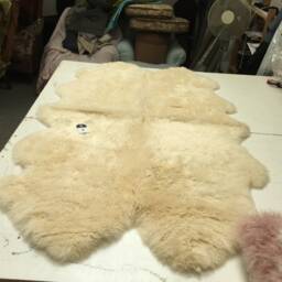 xxl Luxury Ivory Sheepskin Rug , Cream, Soft Neutral Rug, Throw .four Sheepskin, Quad Size, Bed Cover Carpet Hygge, Champagne - thumbnail 4