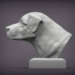 Anatolian Shepherd Bust 3D Printed Dog Statue, Pet Memorial Decor - thumbnail 3
