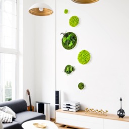 Moss Wall Art ~ Green Round Picture Decor Real Preserved Design - thumbnail 4