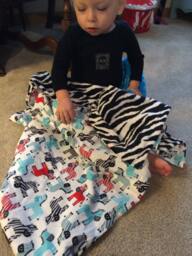 "Cutest Zebra Print Ever & Minky Baby Blanket, ""Lolo-Renzo" - thumbnail 1