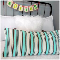 Pillow Covers.slip Covers.pillow Cases.robin Egg Blue.browns.white.stripes.holiday Decor.farmhouse Decor.country Living - thumbnail 4