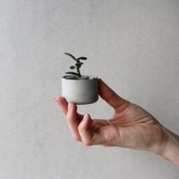 Colorful Concrete Planter Set Of 3 - Modern Nursery Decor - thumbnail 2