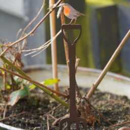 Mini Robin On Fork Metal Garden Stake - Outdoor Bird Sculpture - Rustic Decor Robins Ornament For Plant Pots - thumbnail 2