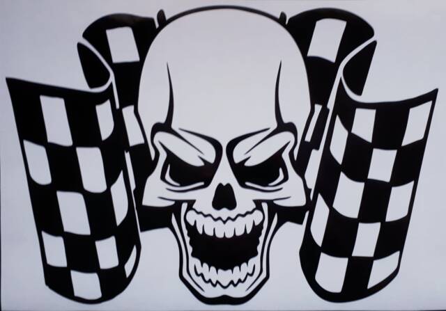Skull Decal Car Bonnet Side Sticker Van Vinyl Graphic Sign Wall Art Door Motorhome Campervan Racing Flags Rally Stock
