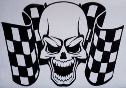 Skull Decal Car Bonnet Side Sticker Van Vinyl Graphic Sign Wall Art Door Motorhome Campervan Racing Flags Rally Stock