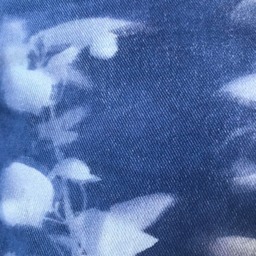 Cyanotype Pillow - thumbnail 3