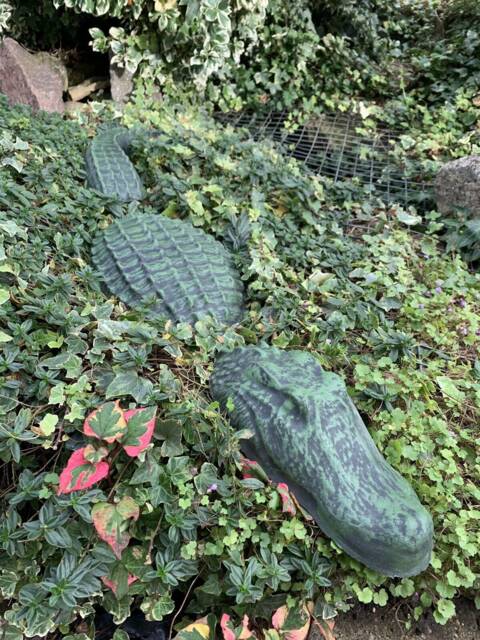 stone Garden Green 3 Piece Crocodile Alligator Gift Concrete Ornament - image 1