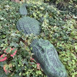stone Garden Green 3 Piece Crocodile Alligator Gift Concrete Ornament - thumbnail 2