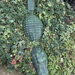 stone Garden Green 3 Piece Crocodile Alligator Gift Concrete Ornament - thumbnail 4
