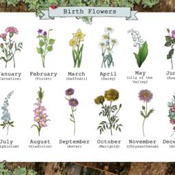 Personalised Family Birth Flower Print Custom Floral Gift - thumbnail 2