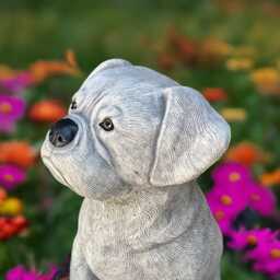 Concrete Bulldog Statue Sitting Boxer Dog Figurine Rottweiler Cement Sculpture Realistic Stone Pet Memorial Garden Yard Art Dog Lover Gift - thumbnail 4