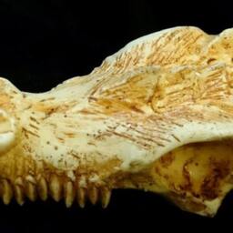 Dragon Skull - Mm 90x45, Thickness Mm 33 - thumbnail 2
