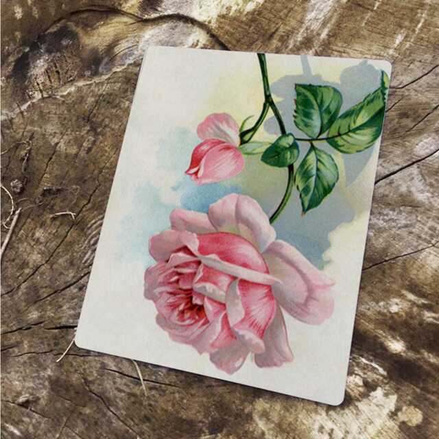 Pink Rose Flower Vintage Advertising Enamel Metal Tin Sign Wall Plaque