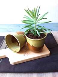 Ceramic Planter, Succulent Plant Pot, Pottery Small Coffee Mug, Tea Cup, Herbal Mug - thumbnail 2