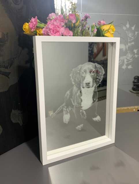 Photo Engraved Mirror Portrait Etched Black Framed Stand Decor Personalised Grey Wood White Box Home, Art, Dog Pet Family Print Memorial - image 1