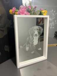 Photo Engraved Mirror Portrait Etched Black Framed Stand Decor Personalised Grey Wood White Box Home, Art, Dog Pet Family Print Memorial