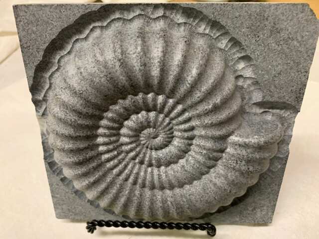 Nautilus Sculpture - image 1