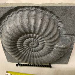 Nautilus Sculpture - thumbnail 4