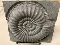 Nautilus Sculpture - thumbnail 1