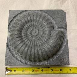Nautilus Sculpture - thumbnail 2
