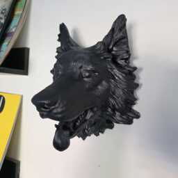Border Collie Head Wall Mount - Animal Art Decor 3D Printed - thumbnail 3