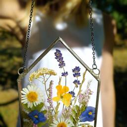 Pressed Flower Art in Stained Glass Frame, Botanical Wall Art, Suncatcher - thumbnail 3