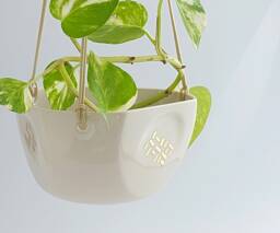 Small Ceramic Plant Hanger Off White & Gold, Modern Design Pot, Pot For Cactus Or Succulent Plant, Minimalist Style - thumbnail 1