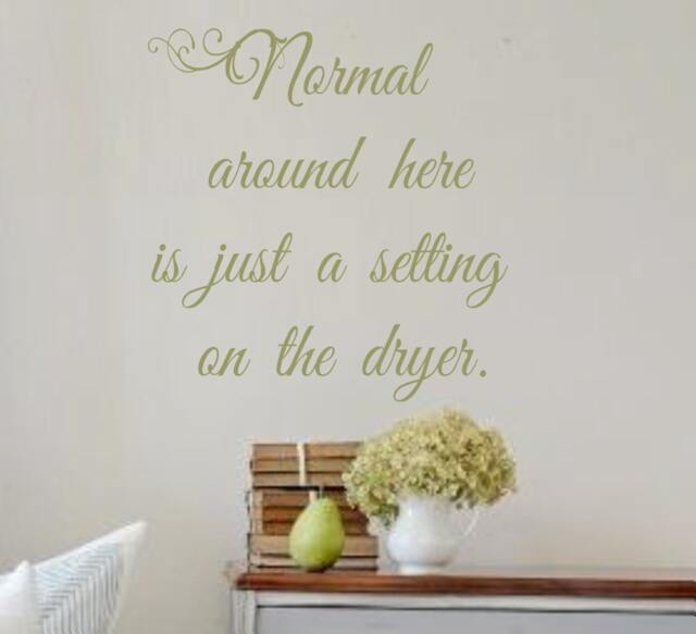 Vinyl Wall Decal - Normal Around Here Is Just A Setting On The Dryer. Quotes Laundry Room Entryway Decor - image 1