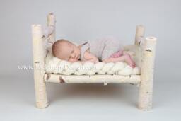 Birch Log Bed Newborn Photography Prop Hand Made White