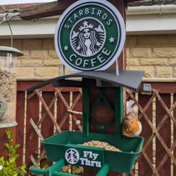 Starbirds Coffee Garden Bird Feeding Station - Seed Feeder Quirky Outdoor Decor Food Table For Sparrows Blue Tit & Blackbirds - thumbnail 2