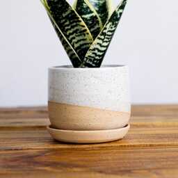 Round Bottom Planter & Saucer - Handmade Ceramic Planter- Size Options - thumbnail 3