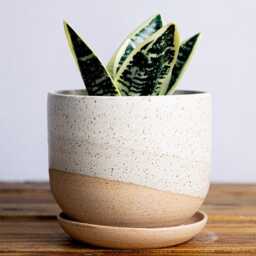 Round Bottom Planter & Saucer - Handmade Ceramic Planter- Size Options - thumbnail 2