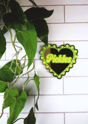 I Heart Pickles Mirror