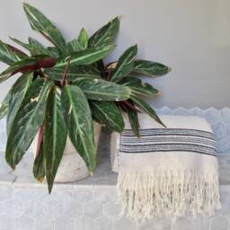 Luxury Bath Towel Hand Woven in Morocco With Berber Wool & Egyptian Cotton - Cream Black 180 X 95cm Bathroom, Interior - thumbnail 1