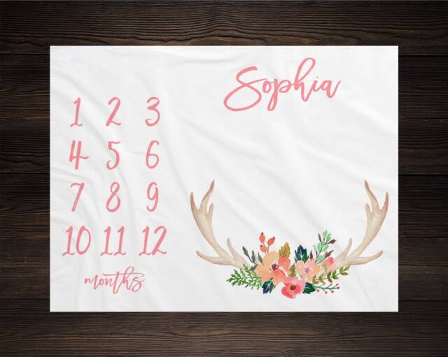 Girl Milestone Blanket Month Growth Tracker Minky Fleece Custom Personalized Baby Shower Gift Watercolor Floral Newborn - image 1