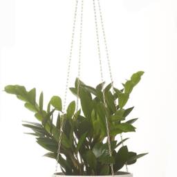 Paperclip Chain Plant Hanger(1 Choice Of Finish. 32 - thumbnail 2