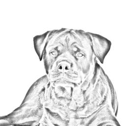 Rottweiler - Wooden Stand For Candles/Pens With The Image Of A Dog New Collection - thumbnail 2