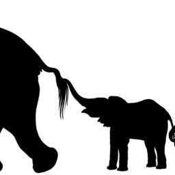 Elephant Nursery, Family Herd Decal, Jungle Wall Decor, Safari Design, African Art - thumbnail 2