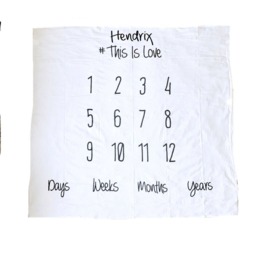 Add On To Anniversary Blanket For Baby's Milestones/Personalized Blanket Custom Baby - thumbnail 3