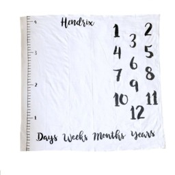 Add On To Anniversary Blanket For Baby's Milestones/Personalized Blanket Custom Baby - thumbnail 2