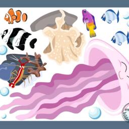 "Wall Sticker ""Underwater World 3" - thumbnail 2