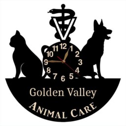 Wall Clock Vet Clinic, Veterinary Clinic Sign, Custom Non-Ticking Large 12 Or 18 Inches - thumbnail 4