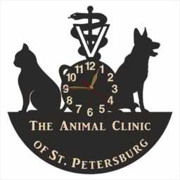 Wall Clock Vet Clinic, Veterinary Clinic Sign, Custom Non-Ticking Large 12 Or 18 Inches - thumbnail 3