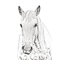 Camargue - Wooden Stand For Candles/Pens With The Image Of A Horse New Collection - thumbnail 2
