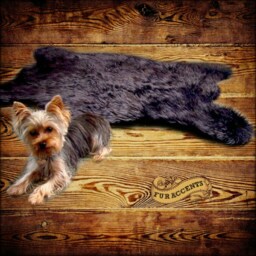 Black Shag Bear Skin Rug - Premium Faux Fur Shaggy- Sheepskin Area Carpet - thumbnail 2